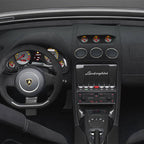 Gallardo Carbon Radio Cover